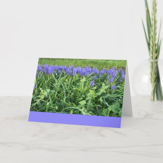 Violet Bluebells Fotografie - Herschberg, Duitslan Kaart (Voorkant)