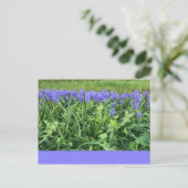 Violet Bluebells - Herschberg, Duitsland Briefkaart (Staand voorkant)