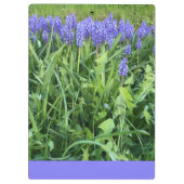 Violet Bluebells Photography - Herschberg, Duitsla Klembord (Achterkant)