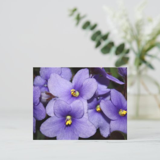 Violet Boquet Kaart (Staand voorkant)