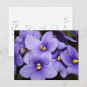 Violet Boquet Kaart (Voorkant / Achterkant)