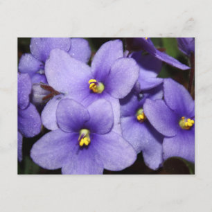 Violet Boquet Kaart