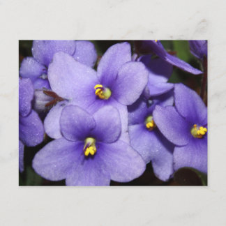 Violet Boquet Kaart