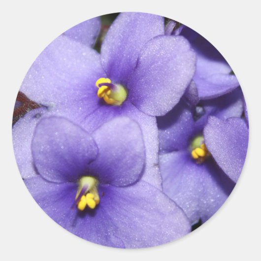 Violet Boquet Ronde Sticker (Voorkant)