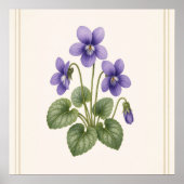 Violet Botanisch, Februari Geboortebloem Poster (Voorkant)
