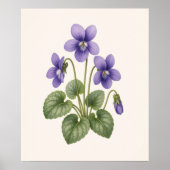 Violet Botanisch, Februari Geboortebloem Poster (Voorkant)