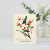 Violet Capped Wood Nymph Hummingbird Art Briefkaar Briefkaart (Staand voorkant)