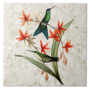 Violet Capped Wood Nymph Hummingbird Ceramic Tile Tegeltje