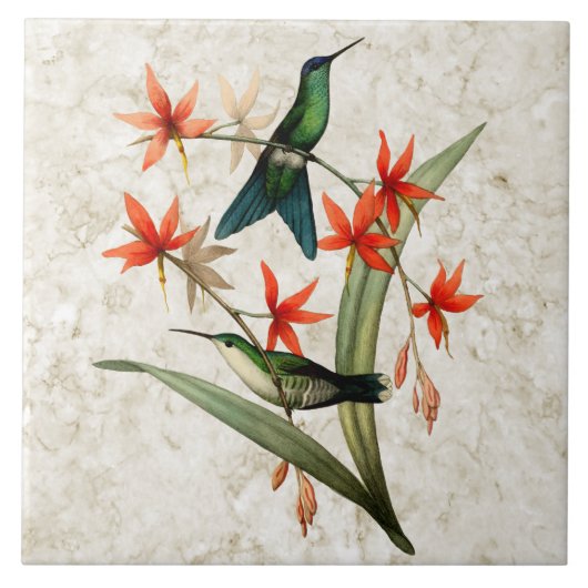 Violet Capped Wood Nymph Hummingbird Ceramic Tile Tegeltje (Voorkant)