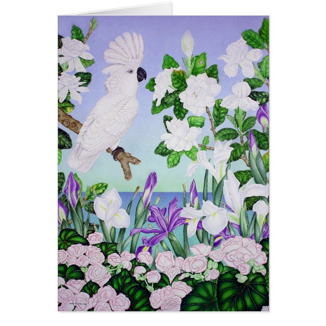 Violet Cockatau (Voorkant)