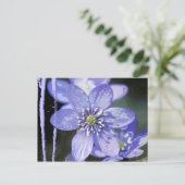 Violet Dreams Briefkaart (Staand voorkant)