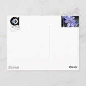 Violet Dreams Briefkaart (Achterkant)