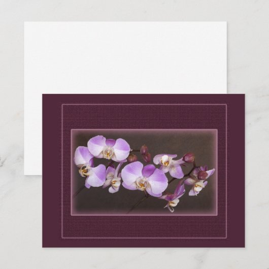 Violet en witte orchidee close-up foto briefkaart (Voorkant / Achterkant)
