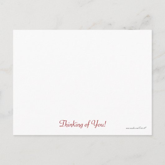 Violet en witte orchidee close-up foto briefkaart (Achterkant)