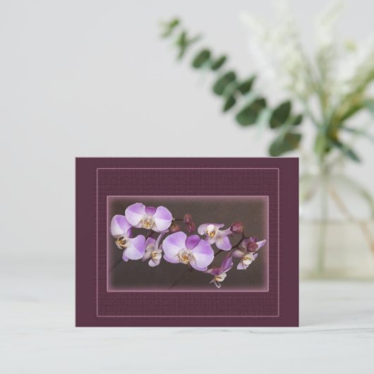 Violet en witte orchidee close-up foto briefkaart (Staand voorkant)