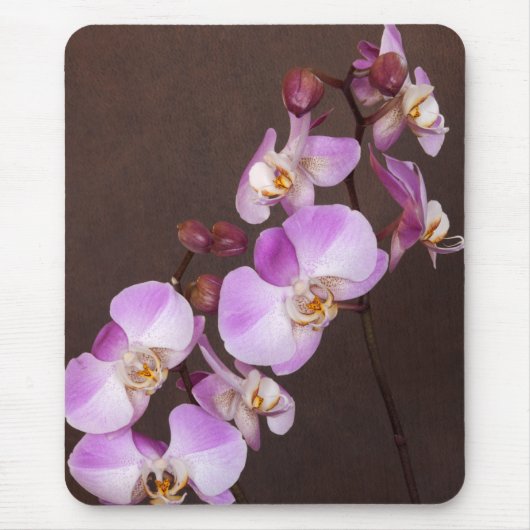 Violet en witte orchidee close-up foto muismat (Voorkant)