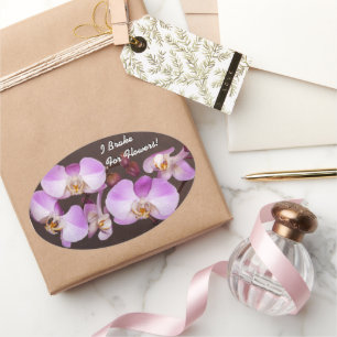 Violet en witte orchidee close-up foto ovale sticker