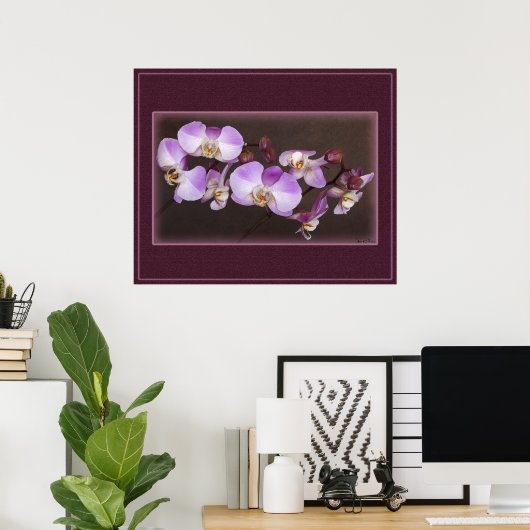 Violet en witte orchidee close-up foto poster (Thuiskantoor)