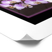 Violet en witte orchidee close-up foto poster (Hoek)