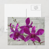 Violet exotic Orchid Flowers Briefkaart (Voorkant / Achterkant)