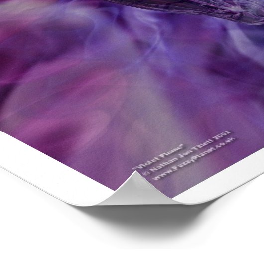 Violet Flame Poster (Hoek)