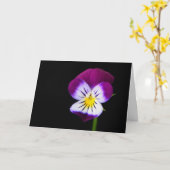 Violet Flower gca Kaart (Gele Bloem)