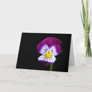 Violet Flower gca Kaart