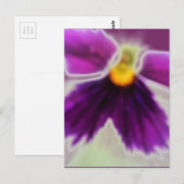 Violet Flower, Paars White Briefkaart (Voorkant / Achterkant)