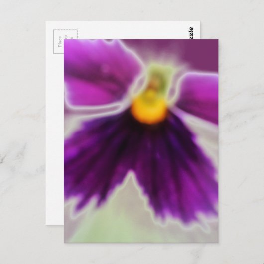 Violet Flower, Paars White Briefkaart (Voorkant / Achterkant)