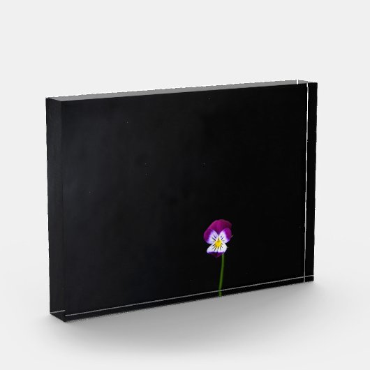 Violet Flower pbcn Fotoblokken (Links)