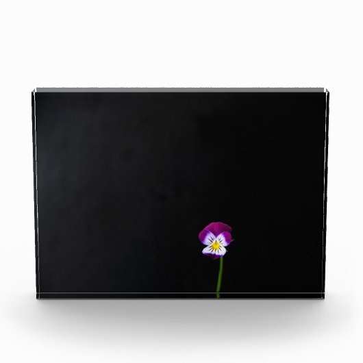 Violet Flower pbcna Fotoblokken (Voorkant)