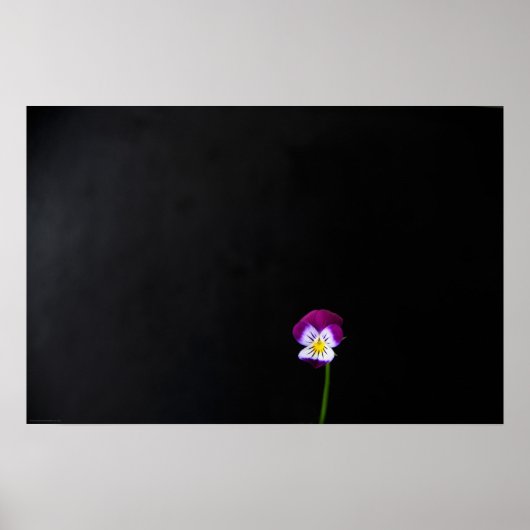 Violet Flower Warm Poster (Voorkant)