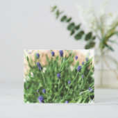 Violet Flowers - Briefkaart (Staand voorkant)