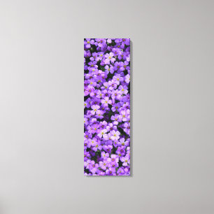 Violet Flowers Canvas Violet Spring
