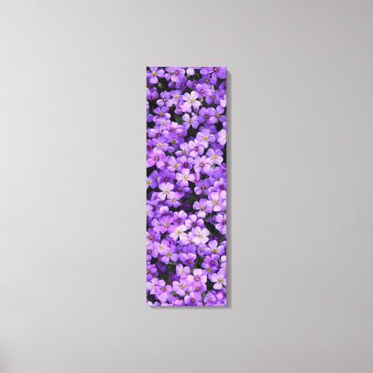 Violet Flowers Canvas Violet Spring (Voorkant)