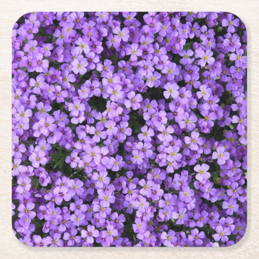 Violet Flowers Kartonnen Onderzetters (Voorkant)