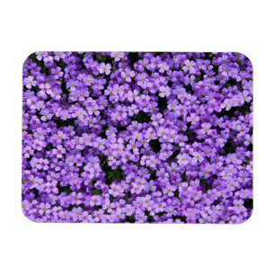 Violet Flowers Magneet