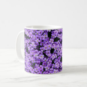 Violet Flowers Mok Violet Spring