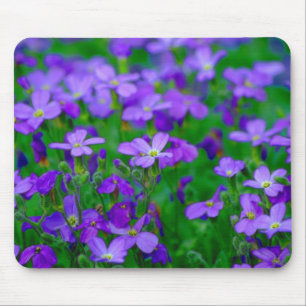 Violet Flowers Mousepad Muismat