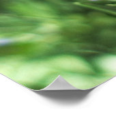 Violet Flowers - Poster (Hoek)