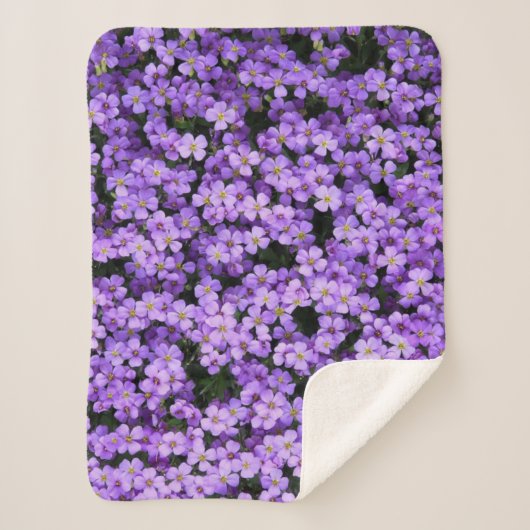 Violet Flowers Sherpa Blanket Violets Deken (Voorkant)