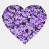 Violet Flowers Sticker Violets Spring (Voorkant)