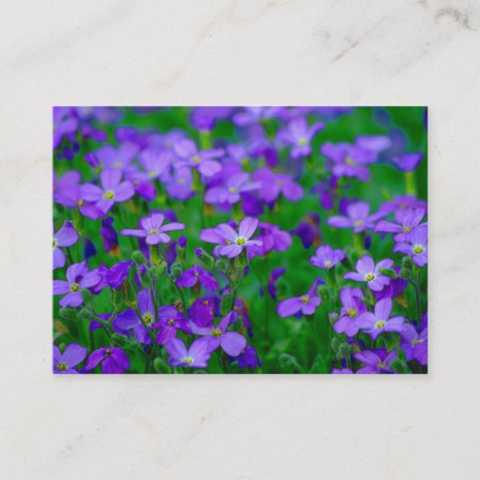 Violet Flowers Visitekaartje (Voorkant)