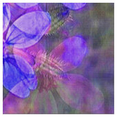 Violet garden...... stof (Close Up)