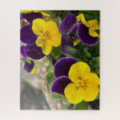 Violet gele pansies legpuzzel (Verticaal)
