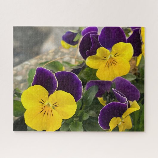 Violet gele pansies legpuzzel (Horizontaal)