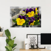 Violet gele pansies poster (Thuiskantoor)