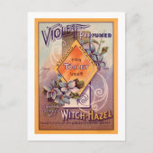 Violet geparfumeerd - 1903 briefkaart (Voorkant)