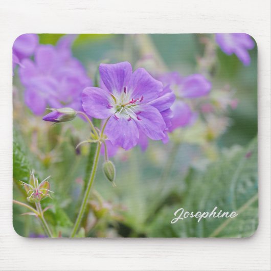 Violet Geranium Wildflower Bloemfoto met naam Muismat (Voorkant)
