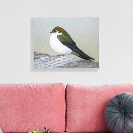 Violet Green Swallow Canvas Afdruk (Insitu (Woonkamer))